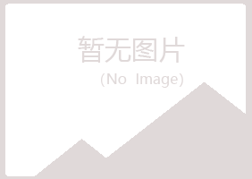 当阳埋没音乐有限公司